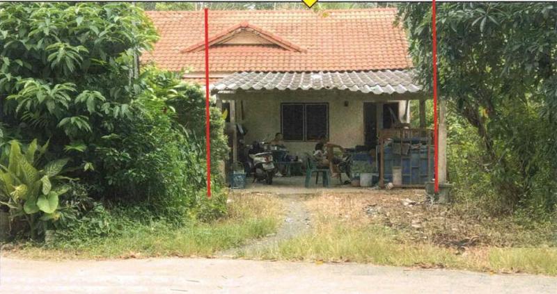 นาพละ เมืองตรัง ตรัง