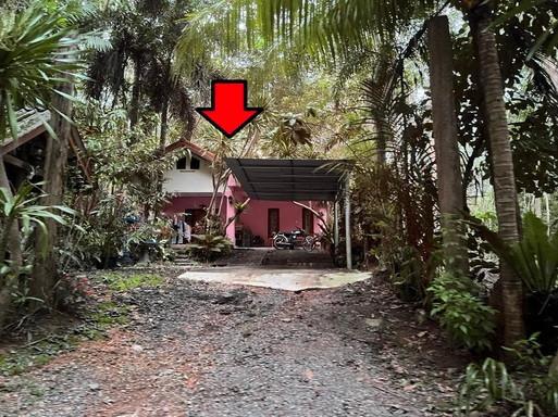 - เมืองตรัง ตรัง