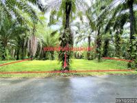 ที่ดินว่างเปล่าหลุดจำนอง ธ.ธนาคารกสิกรไทย วังมะปรางเหนือ วังวิเศษ ตรัง