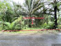 บ้านเดี่ยวหลุดจำนอง ธ.ธนาคารกสิกรไทย วังมะปรางเหนือ วังวิเศษ ตรัง